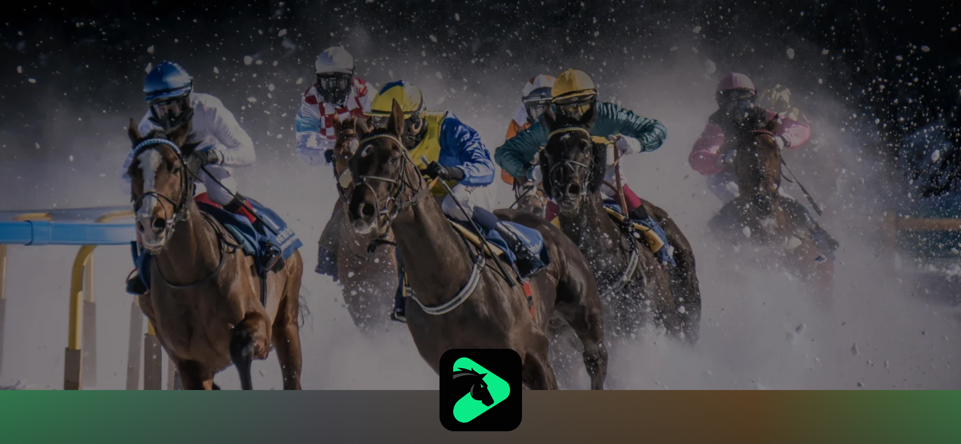 Horseplay sports