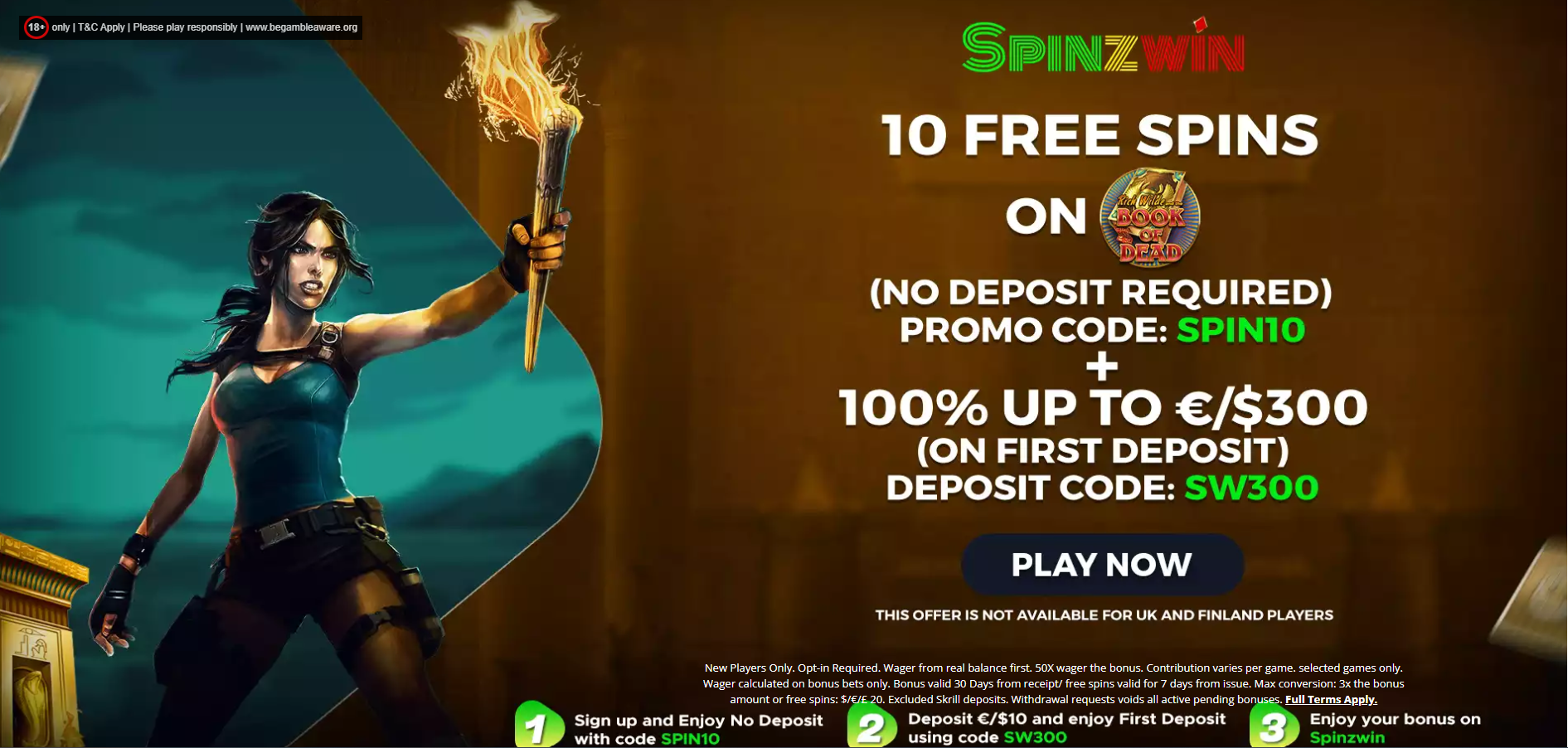 Spinzwin Home Page